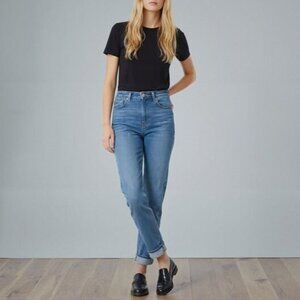 AGOLDE Nico High Rise Slim Fit Jeans Embark 26W